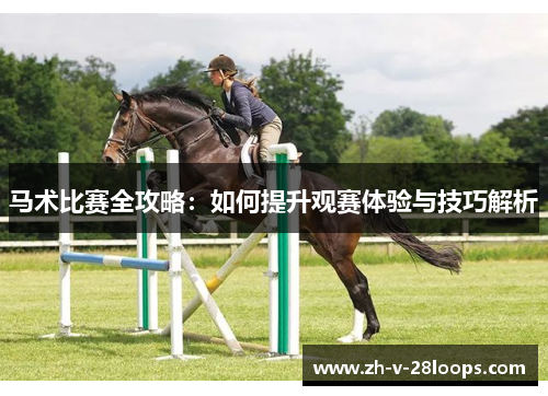 马术比赛全攻略:如何提升观赛体验与技巧解析 马术比赛全攻略:如何提升观赛体验与技巧解析